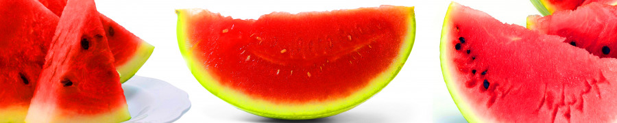 fruit-208