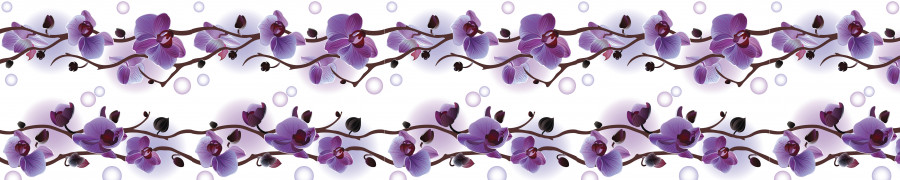 orchids-027