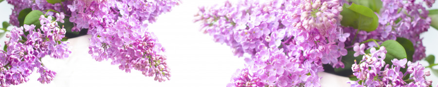 flowering-trees-003
