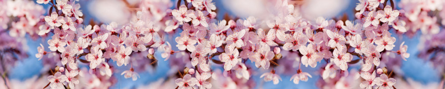 flowering-trees-042