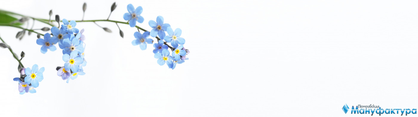 flowering-trees-064