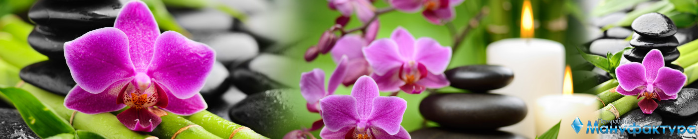 orchids-056