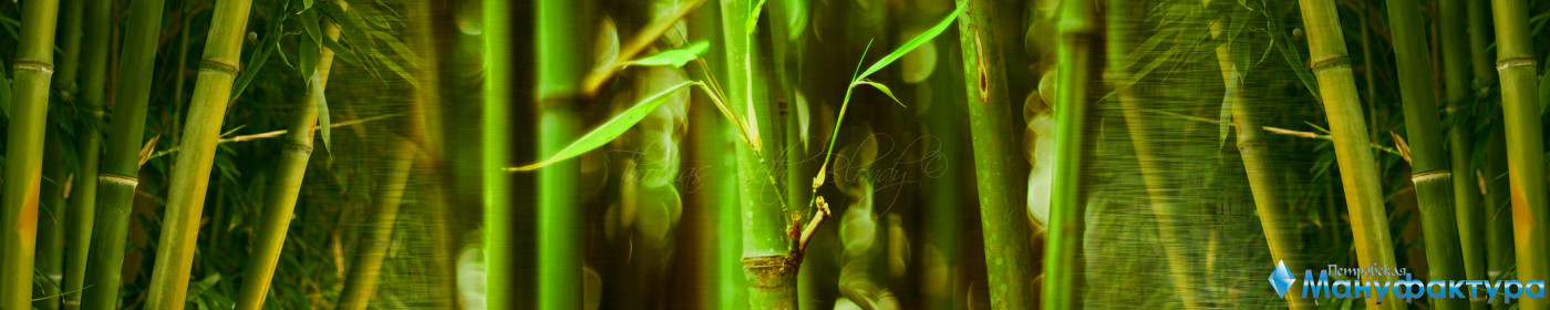 bamboo-plants-067