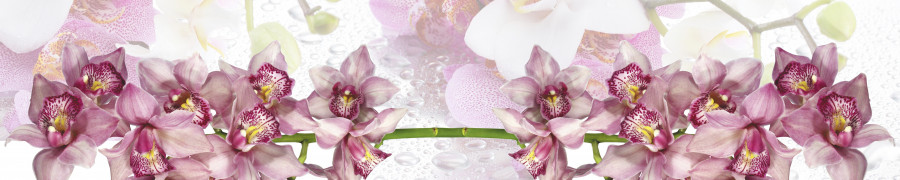 orchids-025