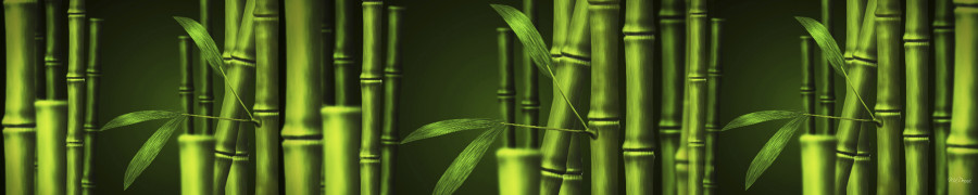 bamboo-plants-005