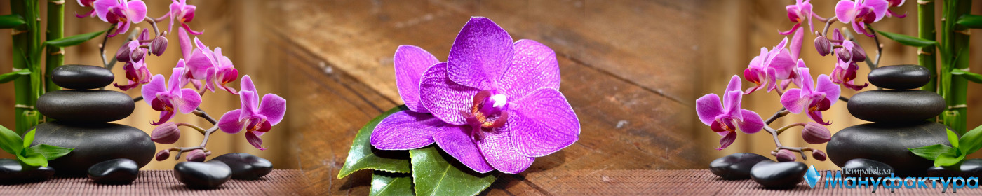 orchids-058