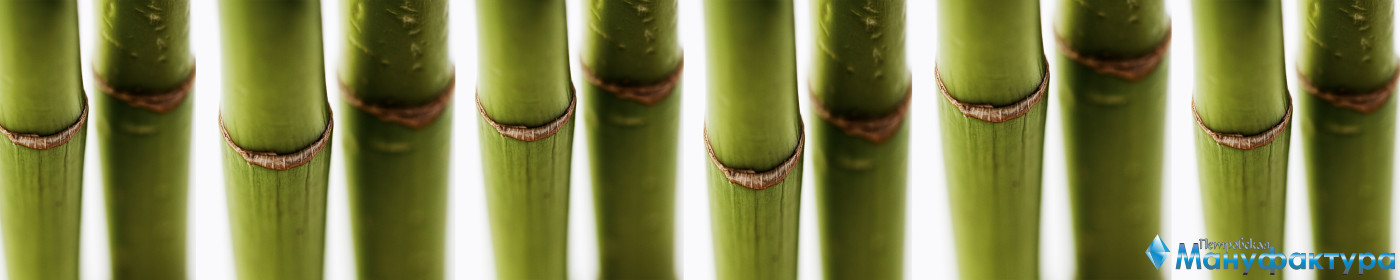 bamboo-plants-055