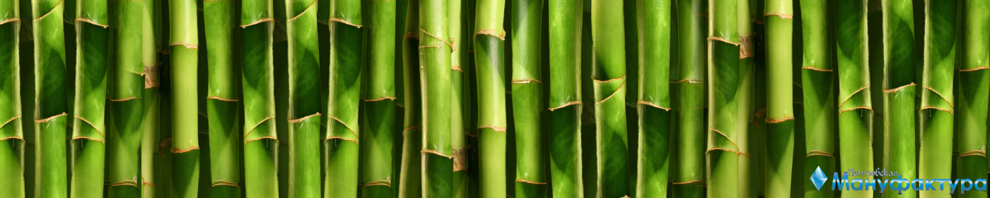 bamboo-plants-157