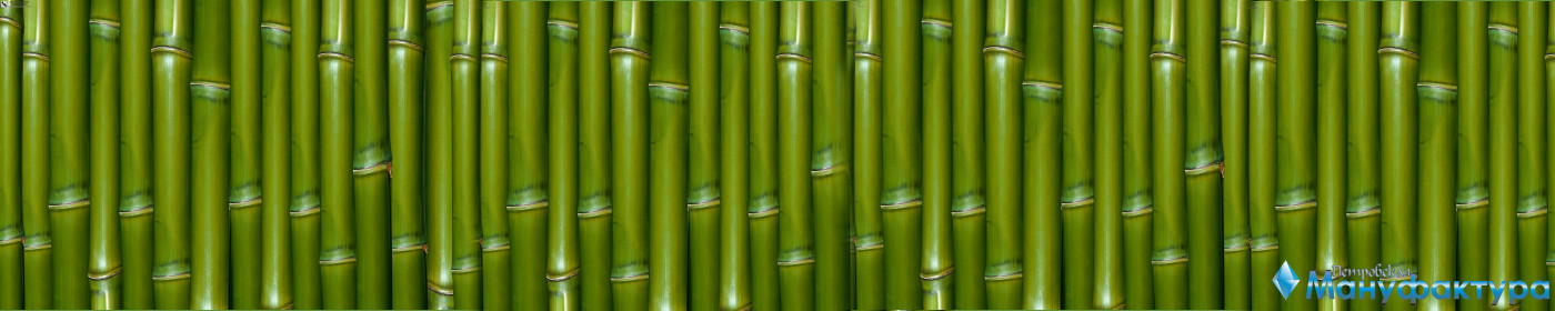 bamboo-plants-047