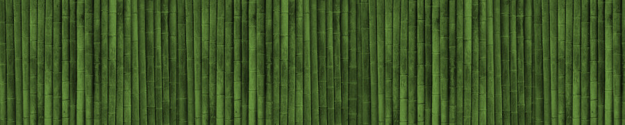 bamboo-plants-130