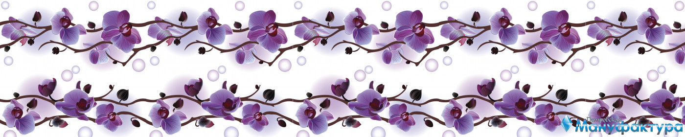 orchids-027