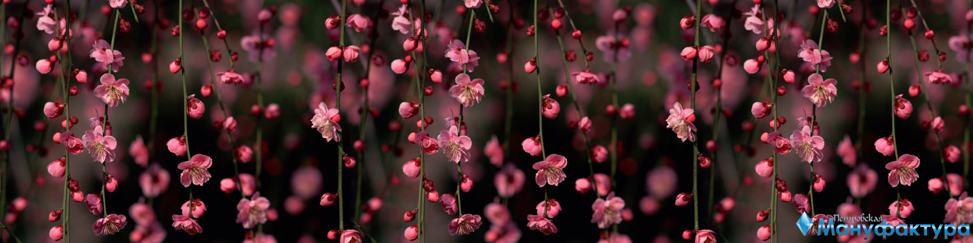 flowering-trees-020