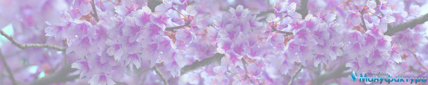 flowering-trees-074