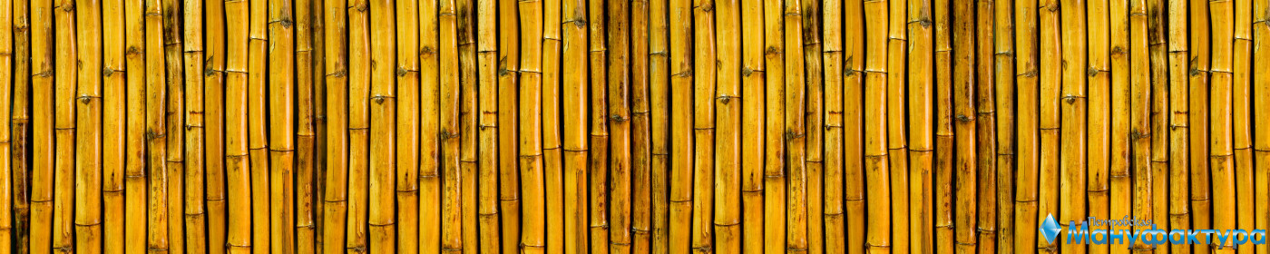 bamboo-plants-048