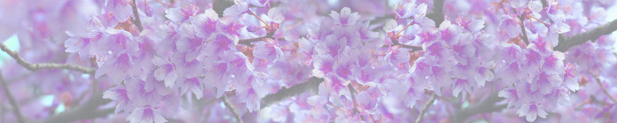 flowering-trees-074