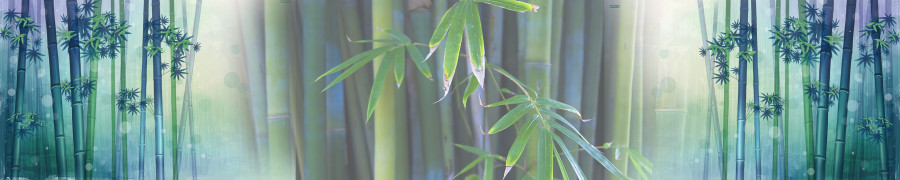 bamboo-plants-129