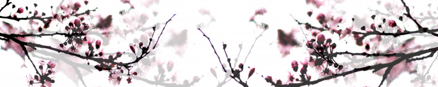 flowering-trees-072