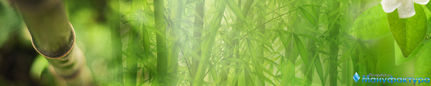 bamboo-plants-044